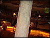 DSC00858.JPG